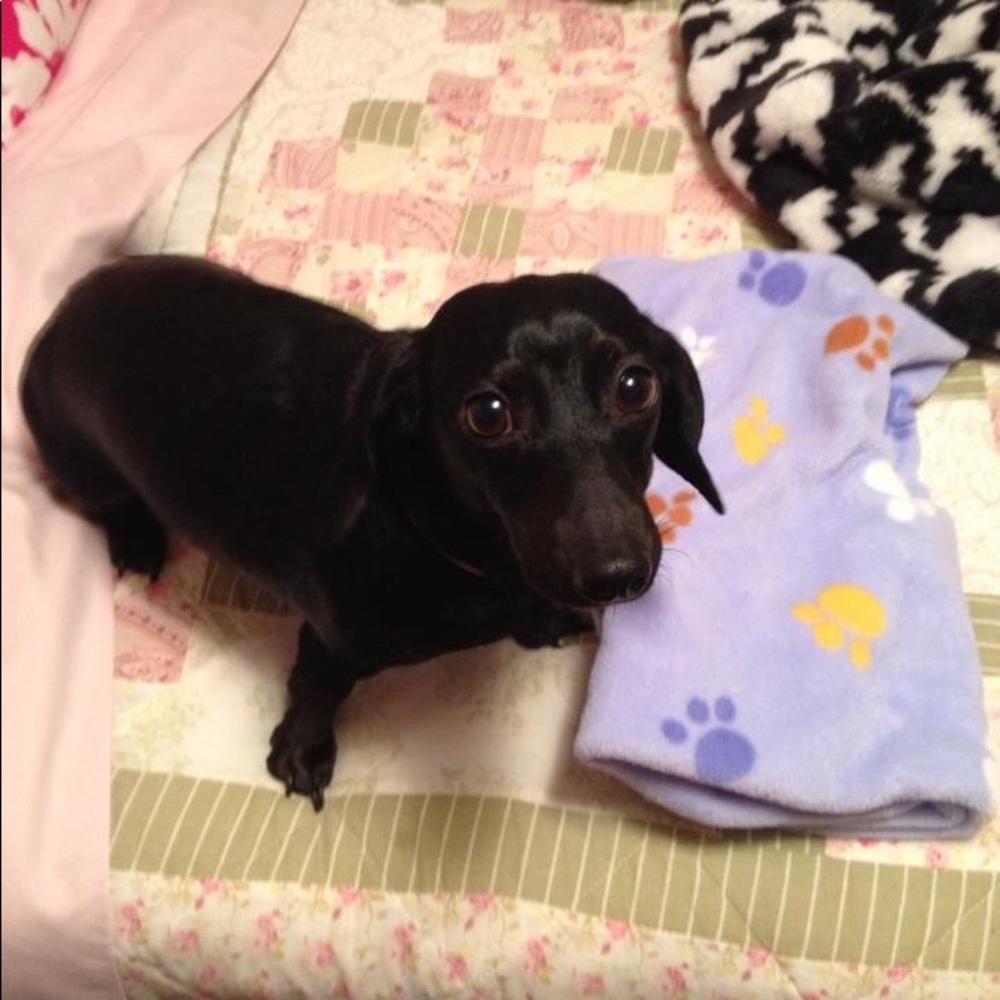 Meet your Posher, Kacy